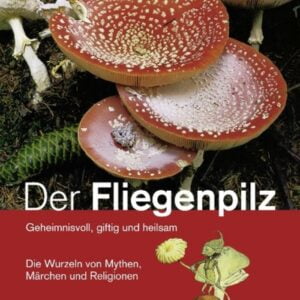 Der Fliegenpilz - Geheimnisvoll, giftig und heilsam - Die Wurzeln von Mythen, Märchen und Religion - Buch