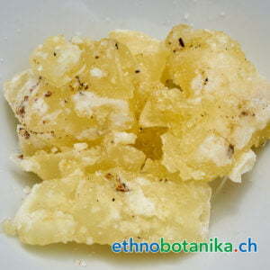 Kopal - Agathis dammara - Rohstoff