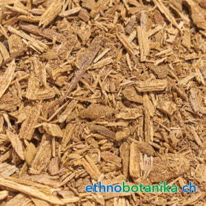 Adlerholz - Aquilaria malaccensis - Rohstoff