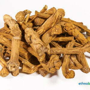 Caap Liane - Banisteriopsis caapi - Rohstoff