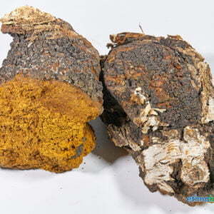 Alternative view of Chaga - Inonotus obliquus - Lösung