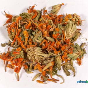 Alternative view of Afrikanisches Löwenohr - Leonotis leonurus - Rohstoff