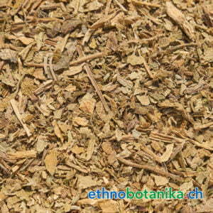 Indianertabak - Lobelia inflata - Rohstoff