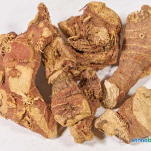 Mandragora officinarum autumnalis 04