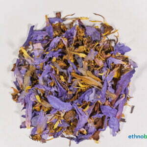 Alternative view of Blauer Lotus - 	Nymphaea nouchali var. caerulea - Lösung