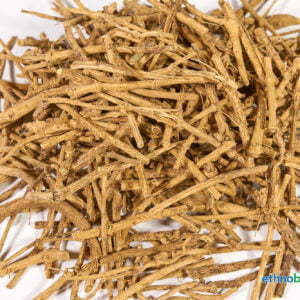 Afrikanische Traumwurzel - Silene Capensis - rohstoff