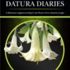 The Toé / Datura Diaries - A Shamanic Apprenticeship in the Heart of the Amazon Jungle - buch