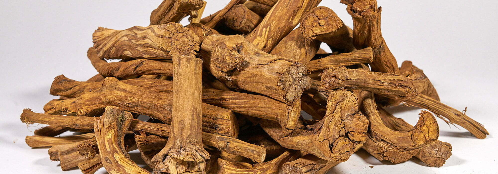 pharmacopoeia.ethnobotanika header v.10.0